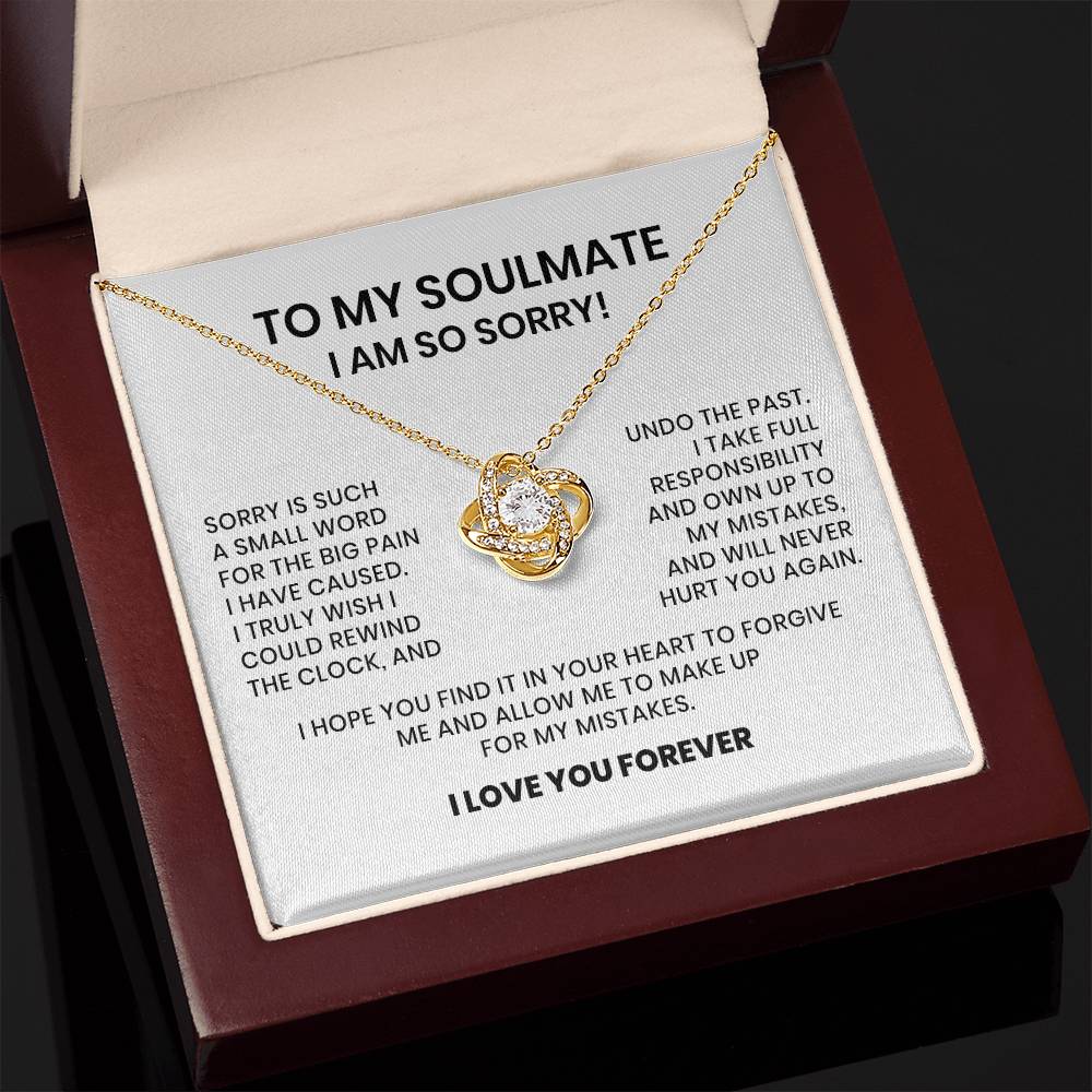 I Am So Sorry My Soulmate Necklace Gift