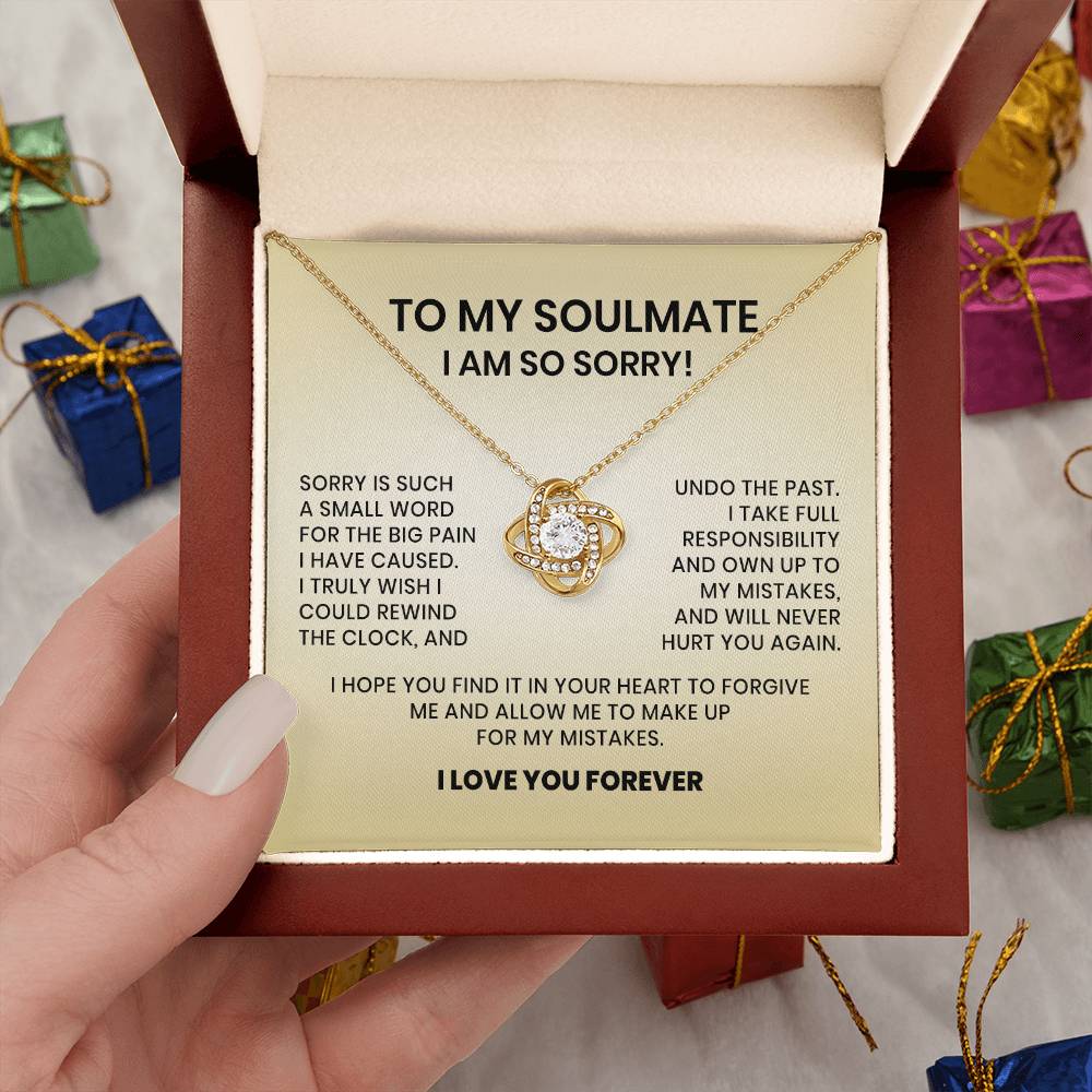To My Soulmate-I am So Sorry Necklace