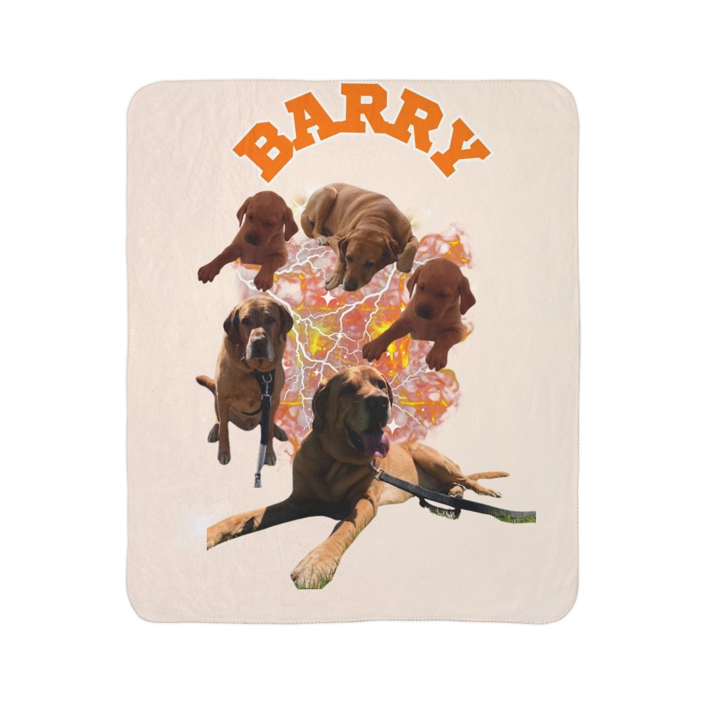 Custom Pet Fleece Sherpa Blanket - Cozy Dog Lover Gift for Barry