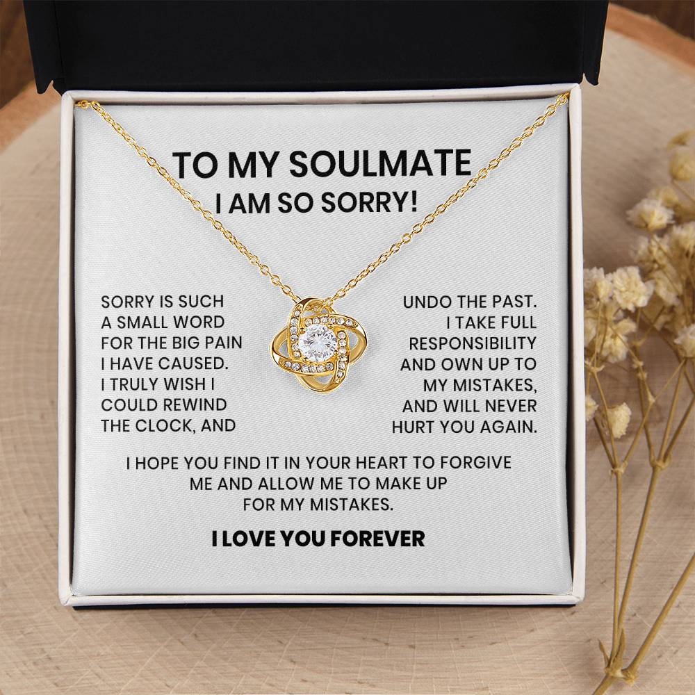 I Am So Sorry My Soulmate Necklace Gift