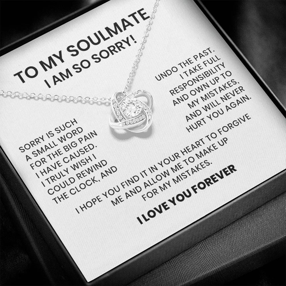 I Am So Sorry My Soulmate Necklace Gift