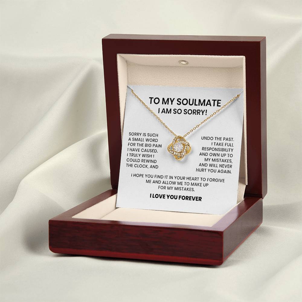 I Am So Sorry My Soulmate Necklace Gift