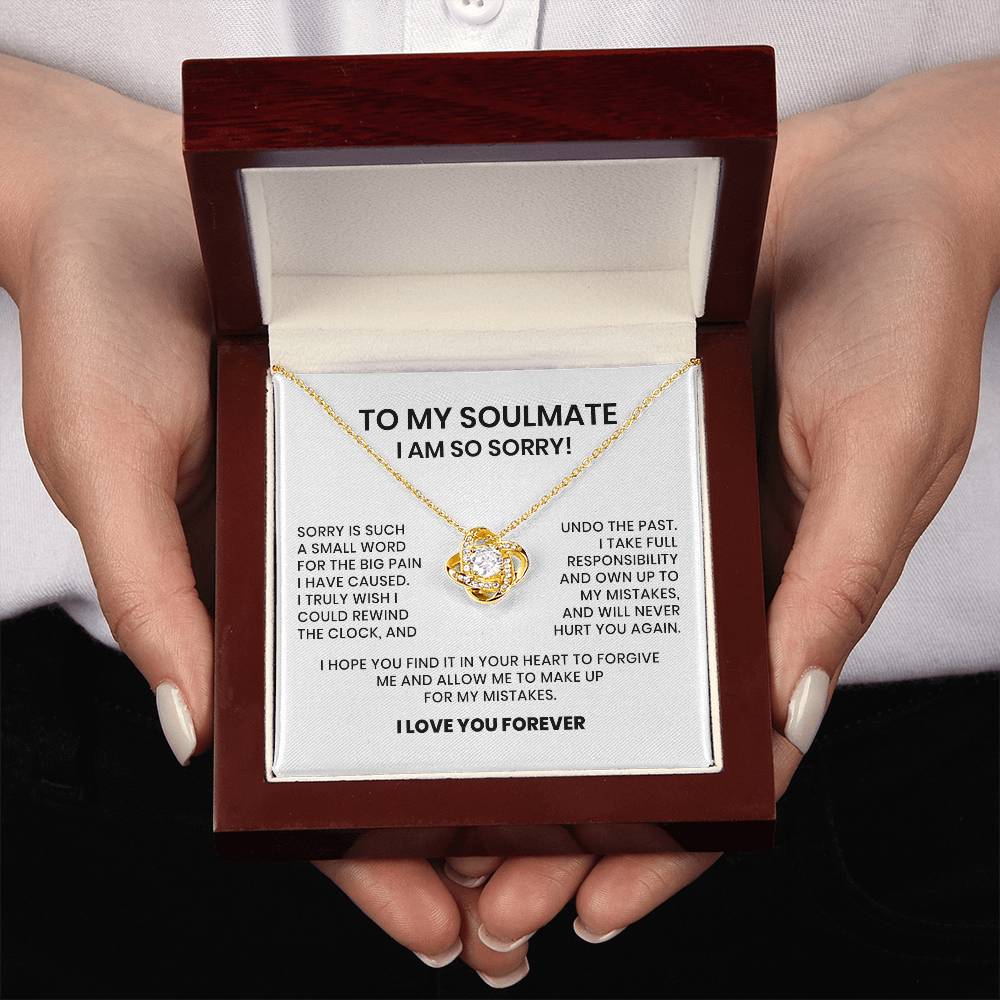 I Am So Sorry My Soulmate Necklace Gift