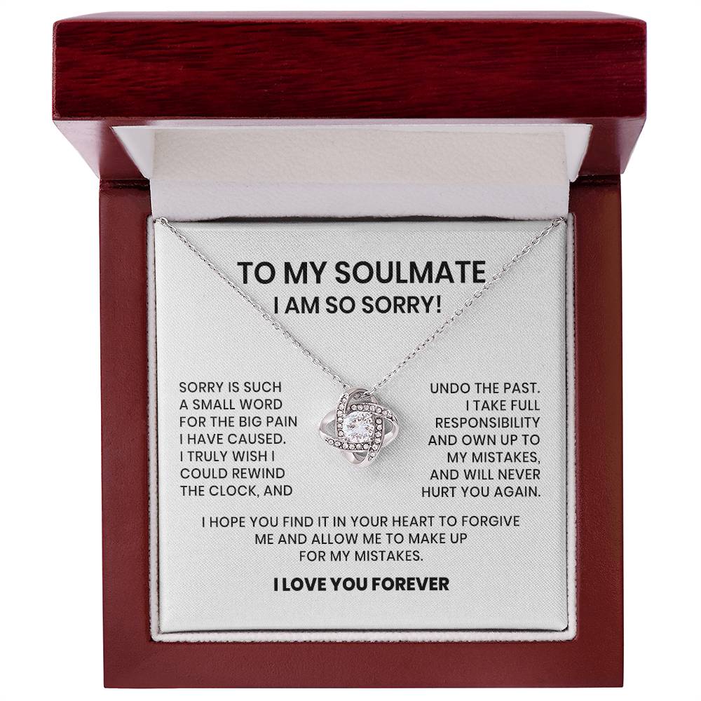 I Am So Sorry My Soulmate Necklace Gift