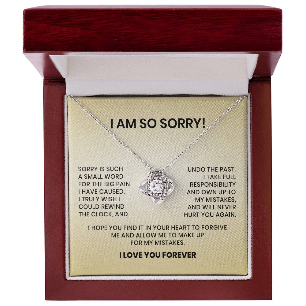 I Am So Sorry Necklace