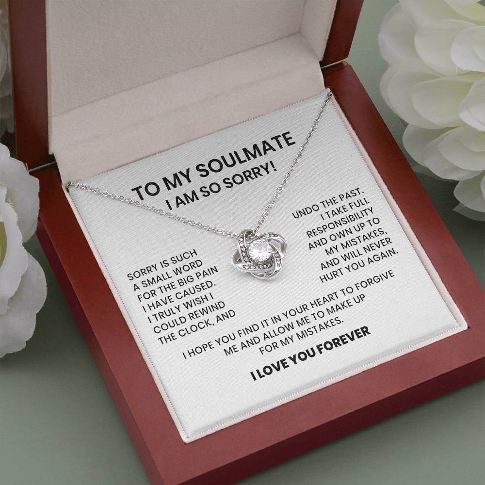 I Am So Sorry My Soulmate Necklace Gift