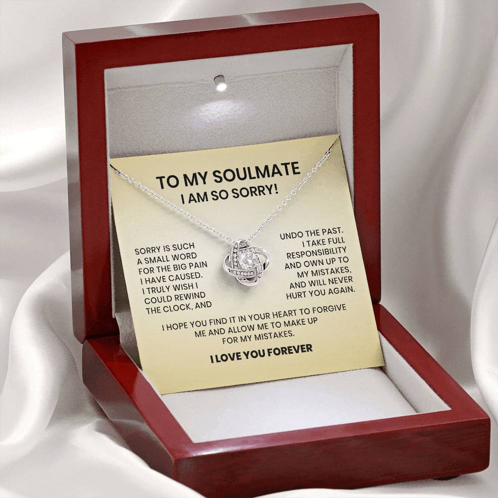 To My Soulmate-I am So Sorry Necklace