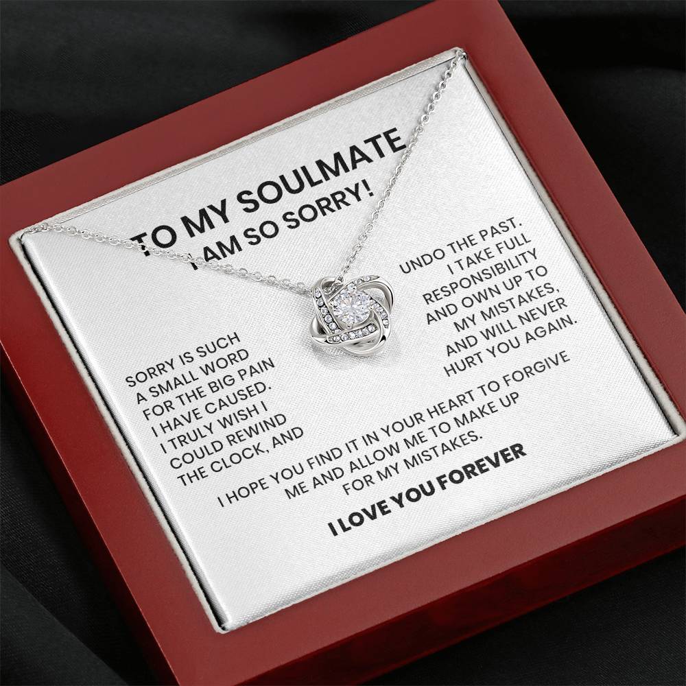 I Am So Sorry My Soulmate Necklace Gift