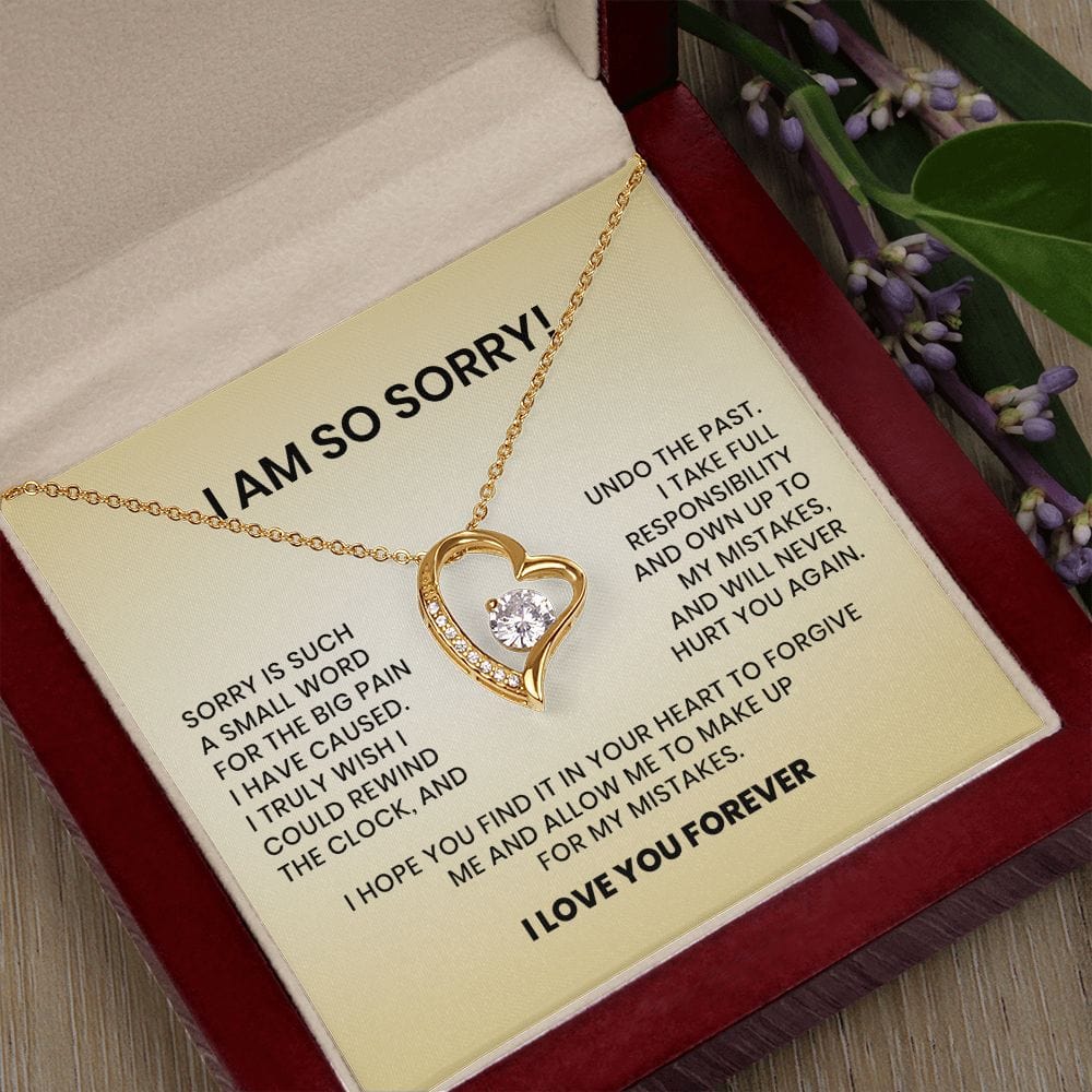 I Am So Sorry-Forever Love Necklace