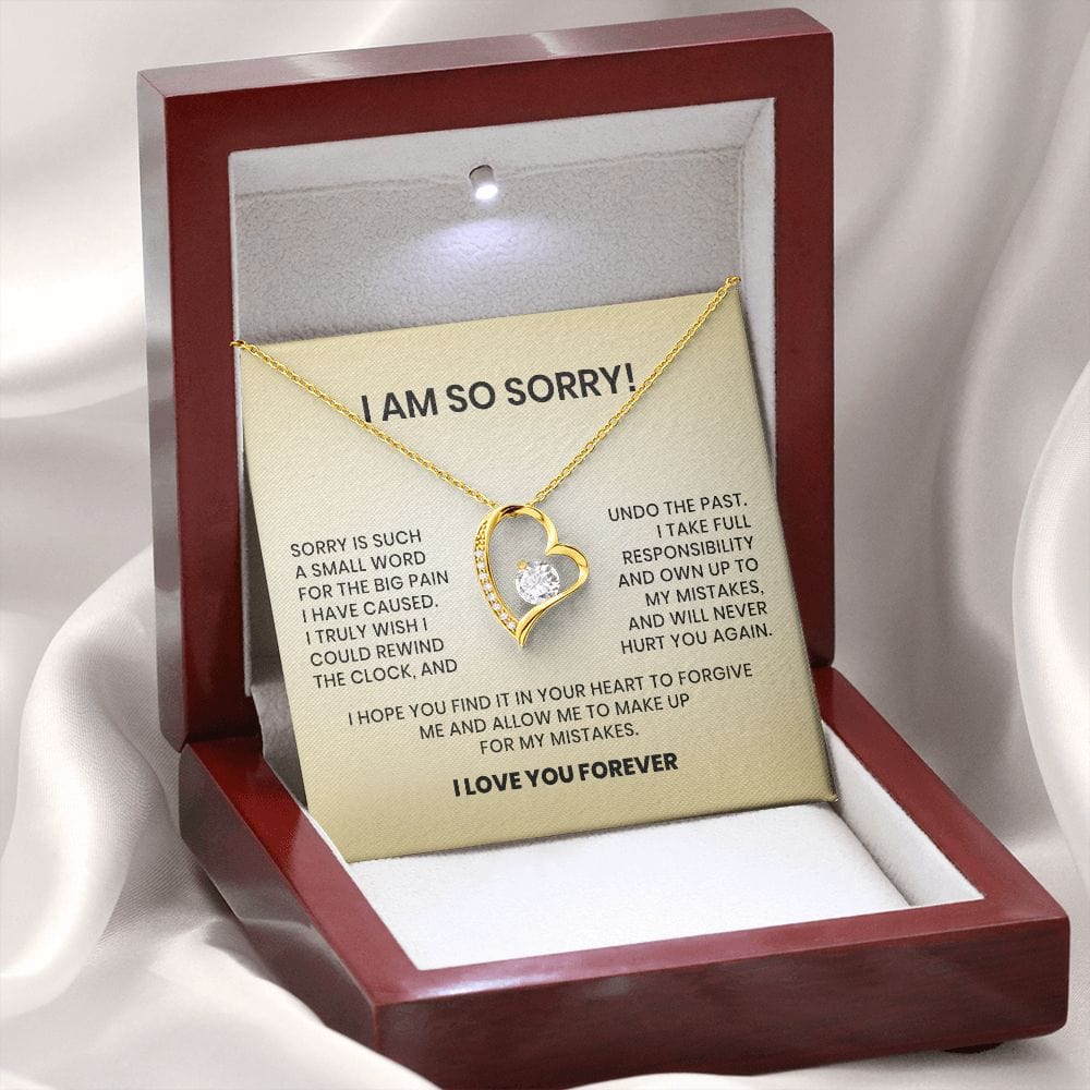 I Am So Sorry-Forever Love Necklace