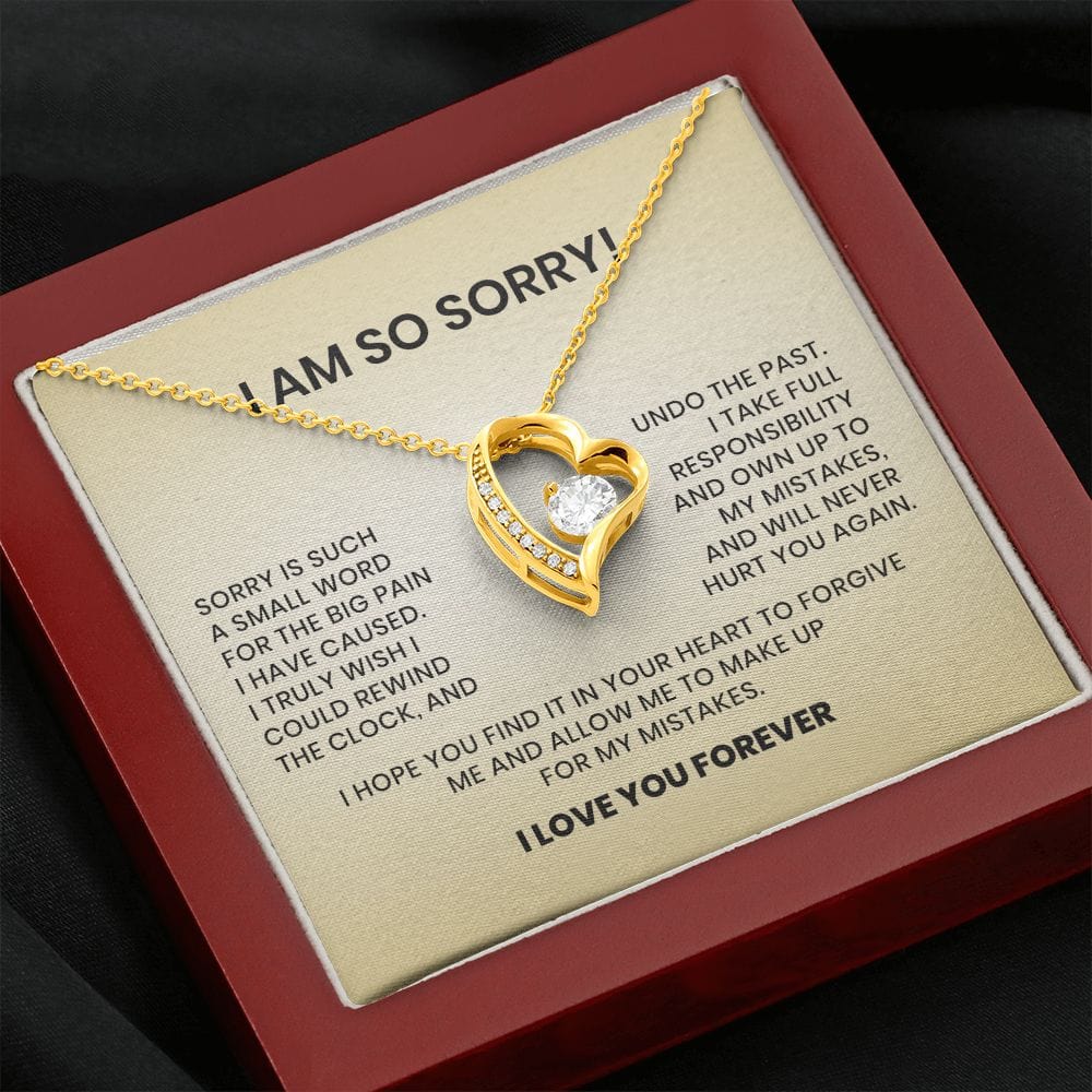 I Am So Sorry-Forever Love Necklace