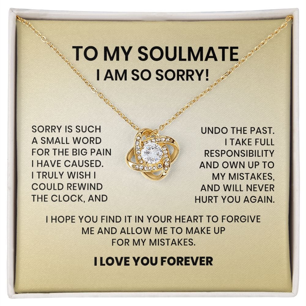 To My Soulmate-I am So Sorry Necklace