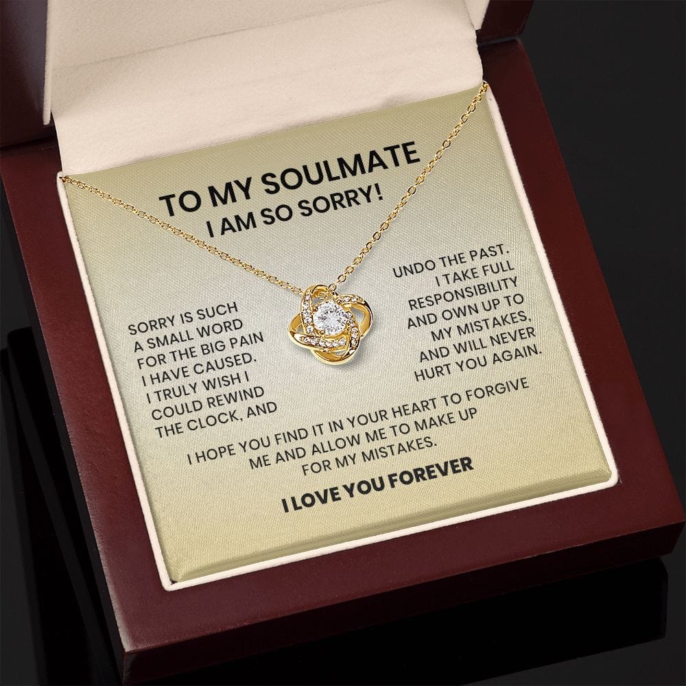 To My Soulmate-I am So Sorry Necklace