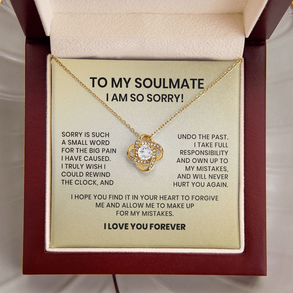 To My Soulmate-I am So Sorry Necklace